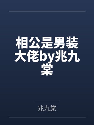 诗涵荷兰留学小说免费阅读全文无弹窗封面